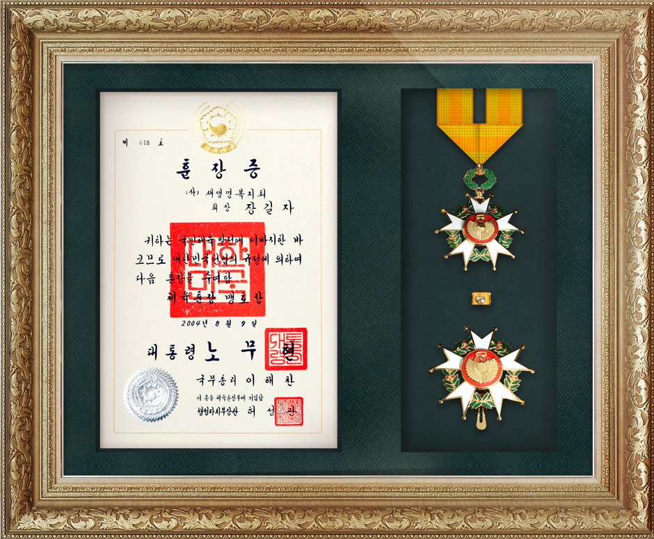 Order of Merit From President of Republic of Korea