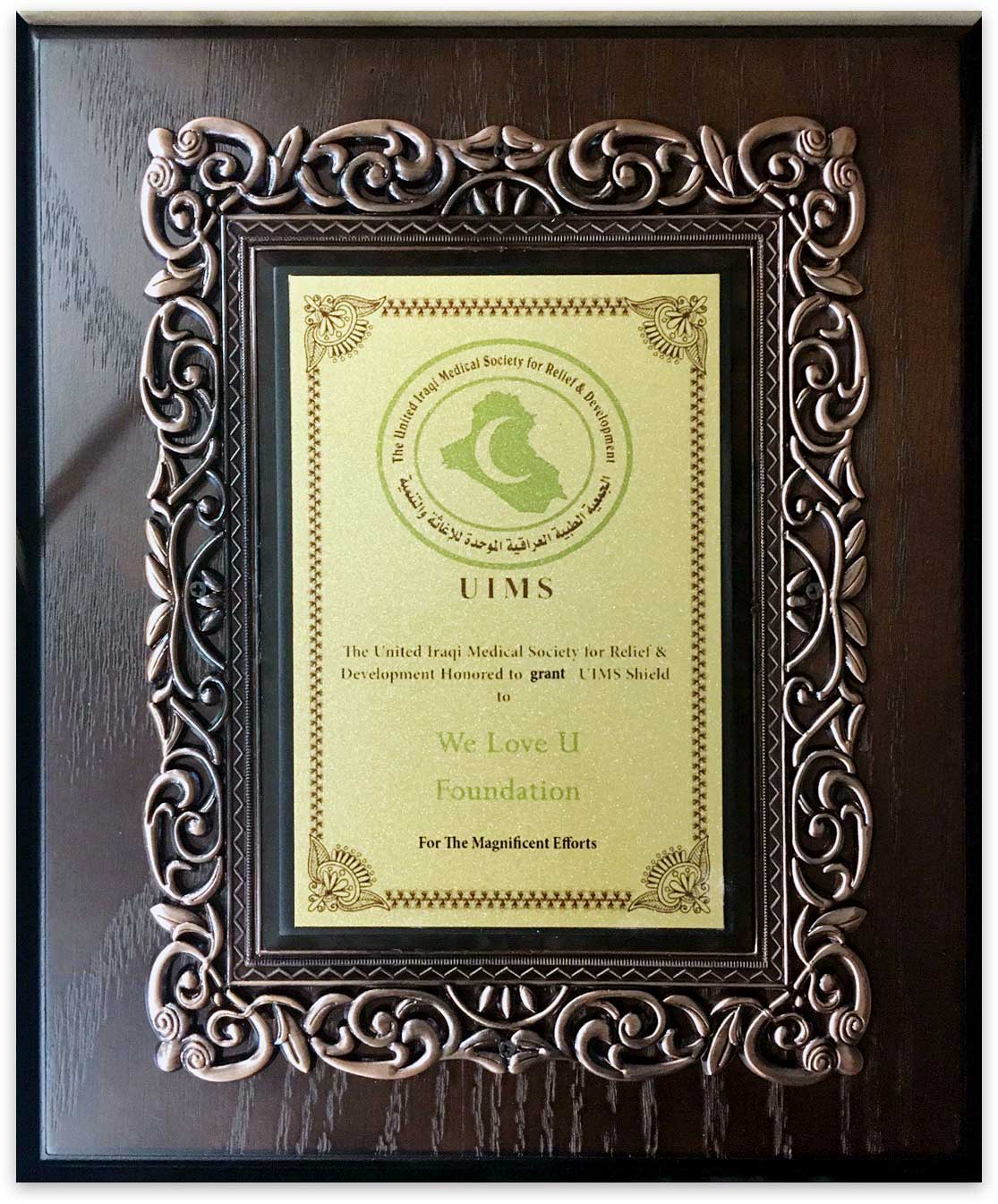 Placa de Agradecimiento de UIMS (Sociedad Médica Unida Iraquí)