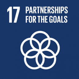 SDG17 Quan hệ đối tác vì các mục tiêu