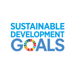 Sustainable Development Goals (SDGs)