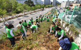 “Let’s Plant Trees Together”