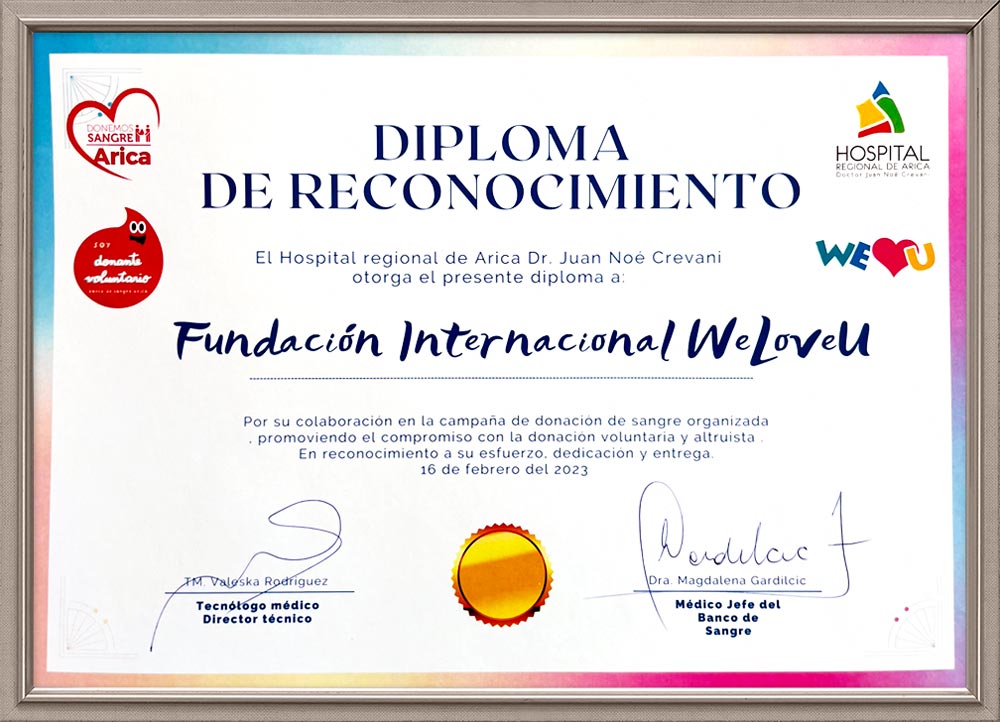 Diploma de Reconocimiento del Médico Jefe del Banco de Sangre del Hospital Regional de Arica Dr. Juan Noé Crevani, Chile