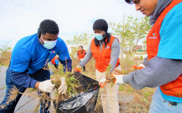 Cleanup at Broad Channel American Park in Queens, NY