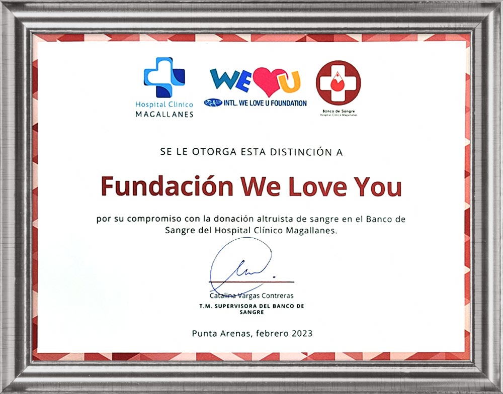 칠레 마가야네스 종합병원 혈액원 감독관 표창장