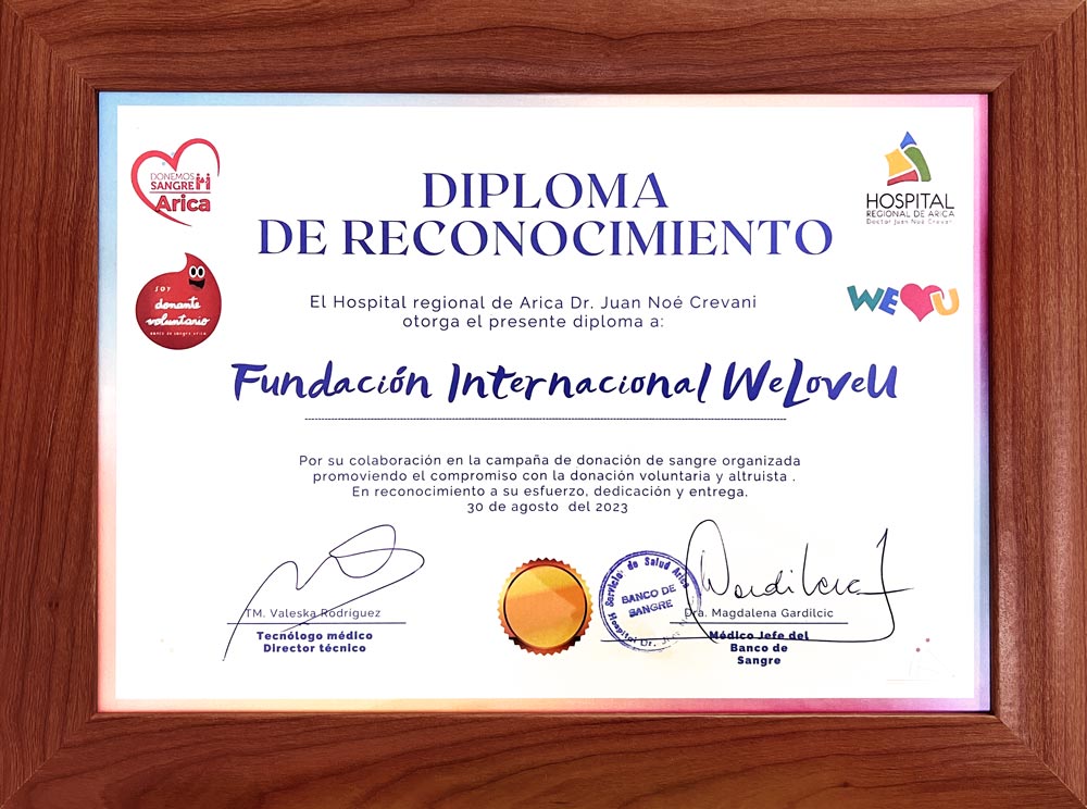 Certificate of Appreciation from Chief Doctor of Blood Bank at Dr. Juan Noe Crevani Arica Regional Hospital, Chile
